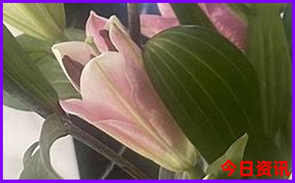 6月份去哪里玩比较凉快