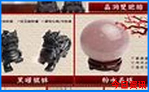 深中通道一日游旅游团报名